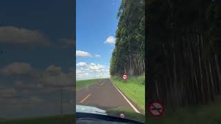 ApucaranaPr Alguém já passou por essa estrada joellmaaj [upl. by Ashelman]