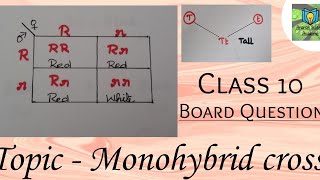 Board questions  Monohybrid cross  Class 10 [upl. by Rebme377]