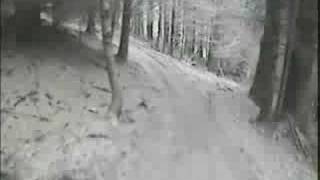 Glentress and Kielder singletrack [upl. by Cantlon705]