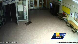 Raw video Deer crash into school to escape dogs [upl. by Pyle562]