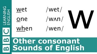 English Pronunciation 👄 Consonant  w  wet one and when [upl. by Yanat211]