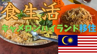 【マレーシア移住2】キャメロンハイランドの1週間の食生活｜めざせ月6万円生活 [upl. by Sirama]