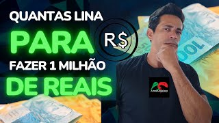 ✔️MILIONÁRIO COM CRIPTOMOEDA LINEAR FINANCE LINA💲💲💲💲💲✔️ [upl. by Garner638]