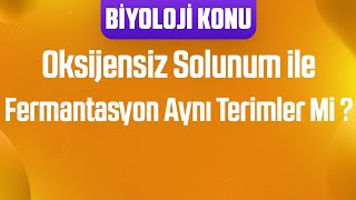 Fermantasyon  Oksijensiz Solunum Mu  LAKTİK ASİT VS ETİL ALKOL FERMANTASYONU [upl. by Zsa Zsa707]