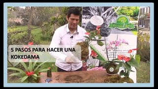 Como hacer una KOKEDAMA [upl. by Lertsek]