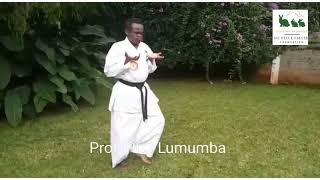 Prof PLO Lumumba showing incredible Karate moves [upl. by Paugh]