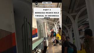 Reaksi Bule Tinggal Di Indonesia Pohon Besar Bikin Kesurupan⁉️ reaksibule shorts viralvideo [upl. by Anotyad403]