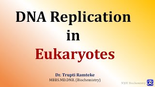 5 Replication in Eukaryotes  Molecular Biology Biochemistry  NJOY Biochemistry [upl. by Selene726]