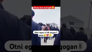 Otga juda katta respect qpyil qoldim hhhhorse sevishganlarsuhbati otlaruzsamarqand [upl. by Srednas]