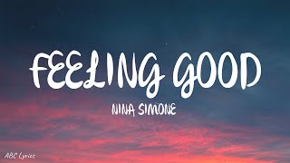 Nina Simone  Feeling Good Lyrics [upl. by Yehs543]