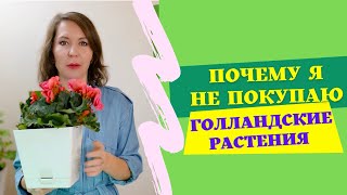 Почему я не покупаю голландские растения [upl. by Lorn]