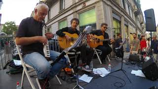 Gipsy Pocket Swing Trio Live  Highlights  Manouche  Jazz  Melodica [upl. by Intruoc]