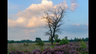 Tijdkijkerpad Stakenberg Vierhouten [upl. by Kcirnek982]