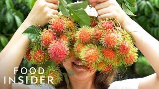 13 Extraordinary Fruits Around The World [upl. by Akitan]