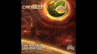 Canibus Anagram Phoenix INSTRUMENTAL [upl. by Aimahc]