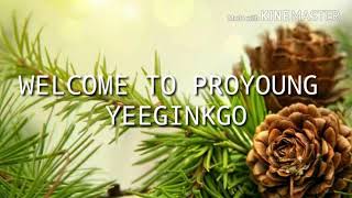 Proyoung Yeeginkgo Benefits [upl. by Nonnairb]