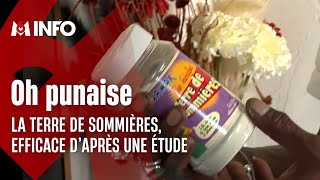 Le produit ménager « la Terre de Sommières » efficace contre les punaises de lit [upl. by Sirenay46]