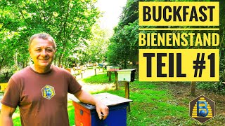 Buckfast Königinnenvermehrung und Bienenstand  Teil 1 Bienendom [upl. by Morena385]