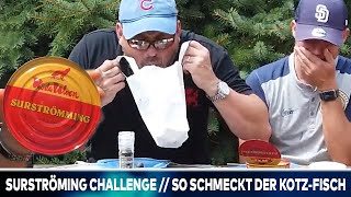 Surströmming Challenge  So schmeckt der KotzFisch [upl. by Lednar]