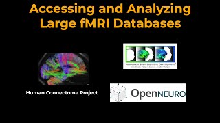 Accessing and Analyzing Neuroimaging Databases [upl. by Claiborn297]