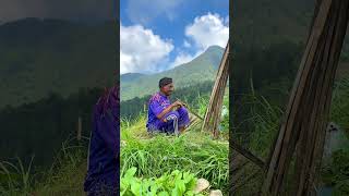 VEGETABLE FARMING ON STEEP HILLS  Indonesia Rural Life indonesianrurallife rural nature [upl. by Anihpesoj]