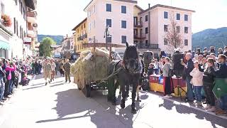 Labbraccio di 15mila persone alla sfilata della Brava Part [upl. by Cadmarr604]