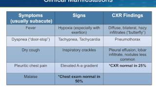 Pneumocystis Pneumonia PCP Part I [upl. by Yereffej]