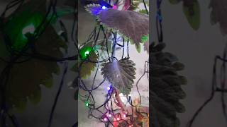 Multicolor Led Light with 3 Modes Changing Controller for HomeDiwali garden Decoration Christmas [upl. by Boser]