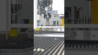 RITEC Servo CNC Turret Punch Press PreShipment Operation [upl. by Atrim136]