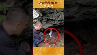 🤯 Carbon dioxide In Caves  telugu facts [upl. by Iteerp]