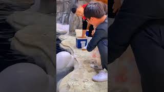 dolphinviralvideo trendingshortcutetrending 1millionviewsvtshorts viralshortsbabyandanimals [upl. by Naveb761]