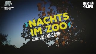 Nachts im Zoo 2016  Münster [upl. by Nnylasor]