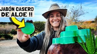 COMO HACER JABÓN ARTESANAL DE ALOE VERA JABON DE SABILA🪴🧼 [upl. by Hnid527]