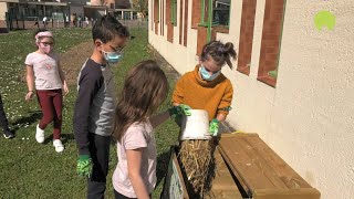 Prix climat des écoles  École Désirée Clary  SavignyleTemple [upl. by Akimet15]