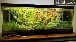 A Final Look at the 20 Gallon Planted Aquarium No Filter [upl. by Ohl69]