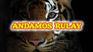 ANDAMOS RULAYViral en tik tokLetraLyricLALA 06 x PEDRITO HP x Prod ON THE BEAT🇳🇬🇪🇨🐯 Audio [upl. by Aissyla]