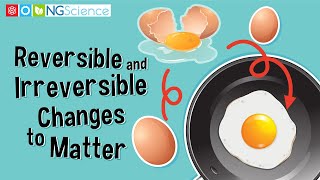 Reversible and Irreversible Changes to Matter [upl. by Ymirej]