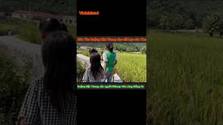 SERIES Bản Tèn Ruộng Bậc Thang Của Người HMong Văn Lăng Đồng Hỷ youtube subscribe shorts 2024 [upl. by Gabler]