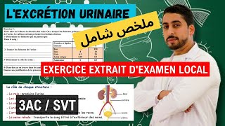 3AC  Lexcrétion urinaire ✓ Cours complet 💥 Exercice extrait dexamen local 🔥 أبسط مافي الشرح 💯 [upl. by Sterner892]