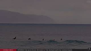 Dec 5 2023 Big Wave Surfing in Waimea Bay on the North Shore of Oahu Hawaii [upl. by Garold]