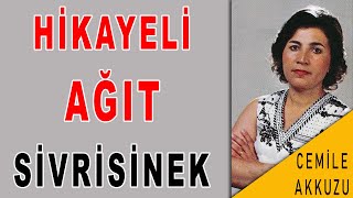 CEMİLE AKKUZU SİVRİSİNEK TÜRKÜSÜ AĞIDI  HİKAYESİ [upl. by Niamor]