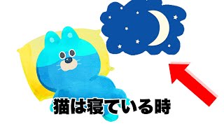 【雑学】猫の気にしたことない不思議な行動4選 [upl. by Anaiek]