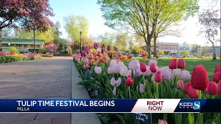 Tulip Time in full bloom in Pella [upl. by Kopp]