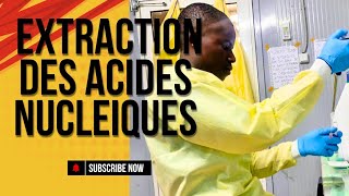 EXTRACTION DES ACIDES NUCLEIQUES [upl. by Sung]