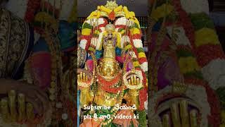 Garuda seva at thirupathi venkateswara trending ytshorts [upl. by Grigson]