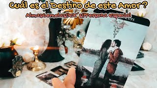 ✨️Cuál es el Destino de este Amor ❤️‍🩹 Descúbrelo Aquí 🔮 AlmasGemelasExs 🔥 tarot [upl. by Acisseg]