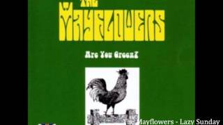 The Mayflowers  Lazy Sunday  Are You Green [upl. by Nilrah175]