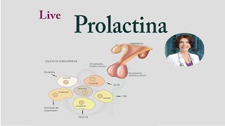 Live sobre Prolactina [upl. by Devine]