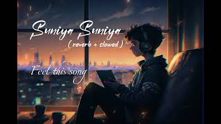 Suniya suniya rata lofi song  reverb  slowed music lofimusic [upl. by Ilera]