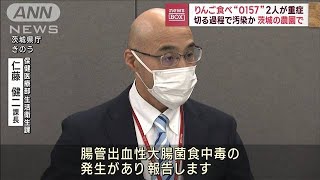 りんご食べ“O157”2人が重症 切る過程で汚染か2023年11月30日 [upl. by Jenda]